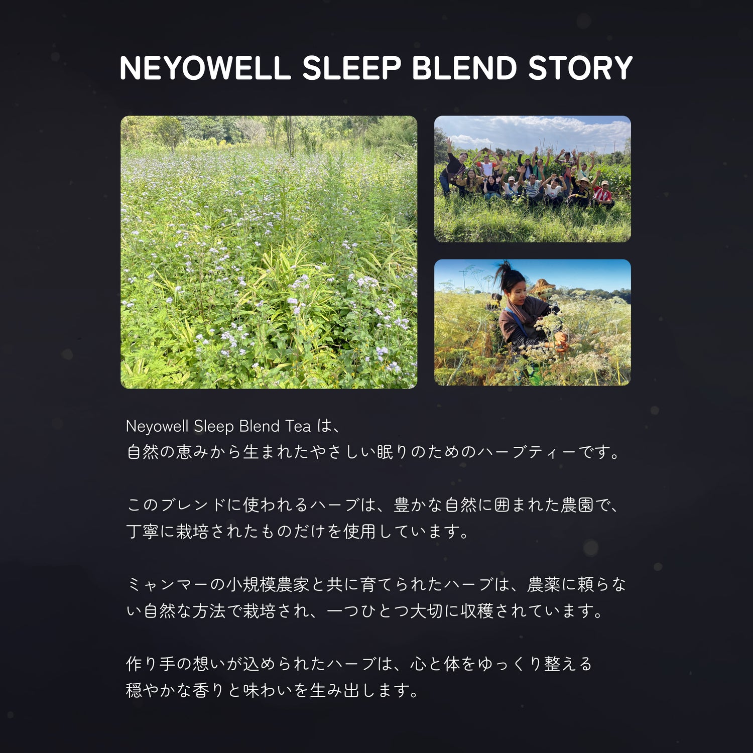 Neyowell Sleep Blend tea（定期便）